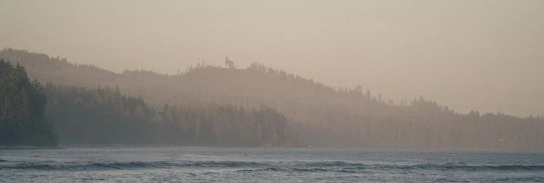 landscape shot of surf break