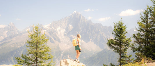 A woman stands on a rock overlooking the Alps mountain range, trees either side of her