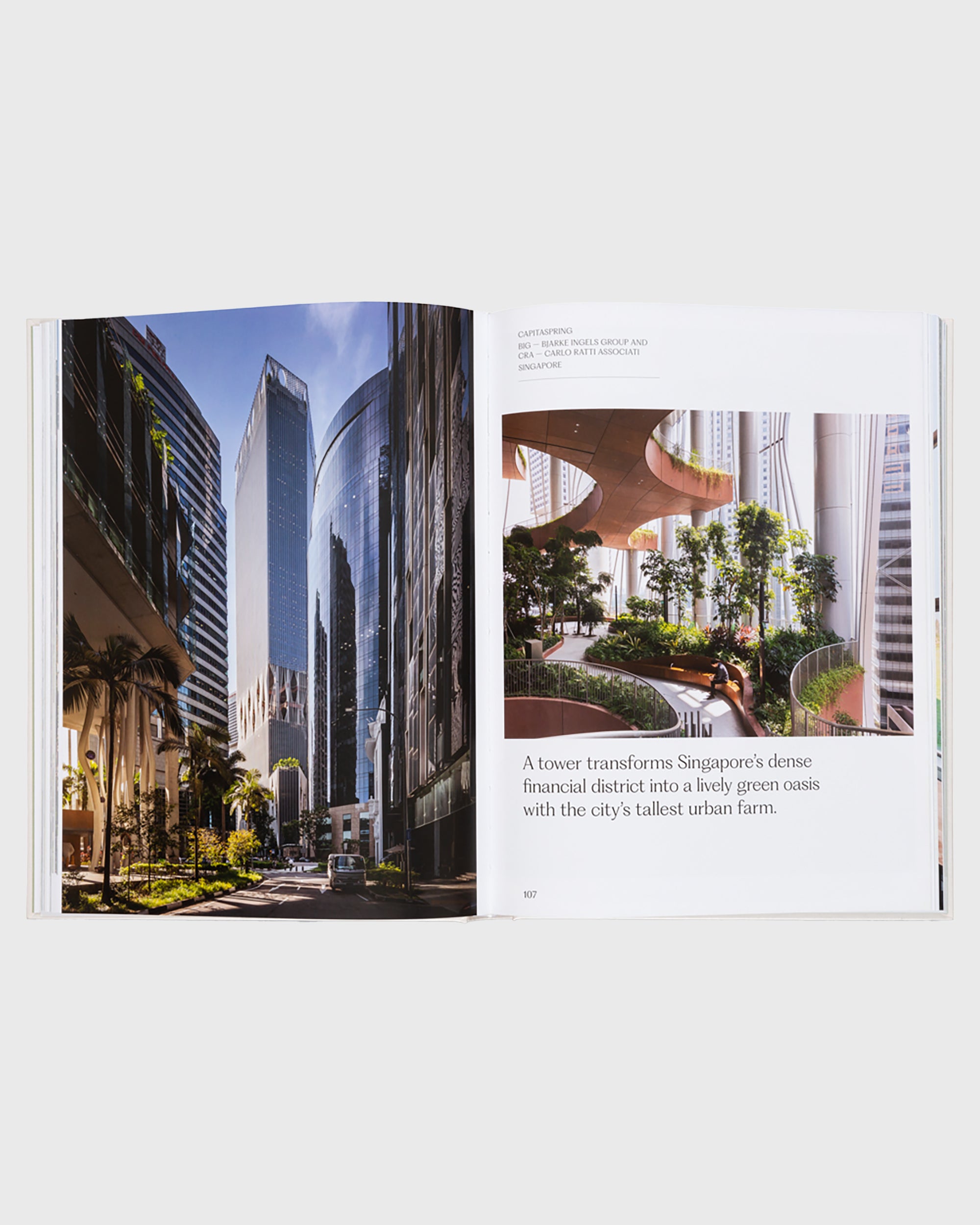 The House of Green - Flatlay