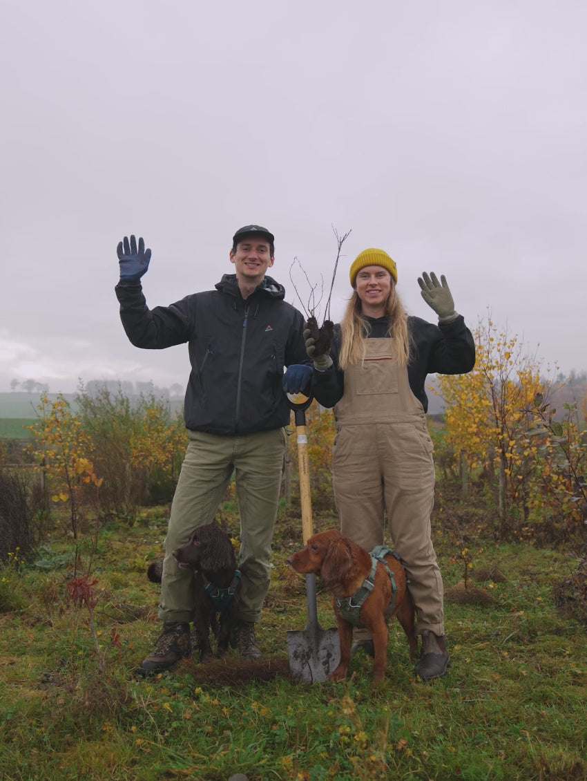 Video laden: Team Tree Planting Video