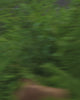 Trailscape Women's Waterproof Jacket - Stormy Blue/Pistachio - Lifestyle